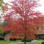 Flaget Center