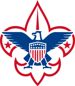 BSA logo 1